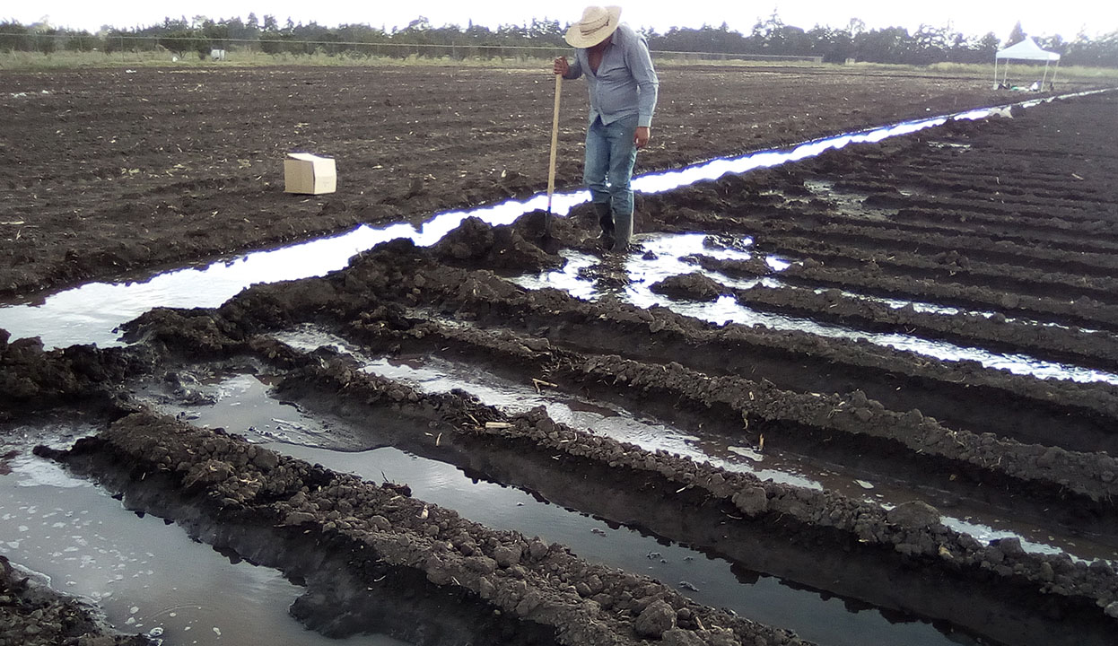Consumo de agua y producción de alimentos - Redagrícola