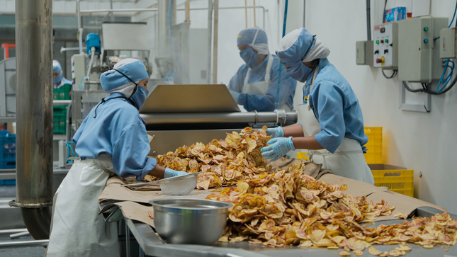 Proceso De Elaboracion De Papas Chips redagricola.com