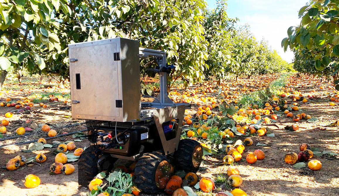 Crean Robot Para La Recolección De Fruta En Los Campos - Redagrícola