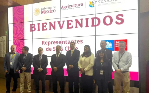 Chile y México continúan avances para agilizar exportaciones frutícolas al país norteamericano