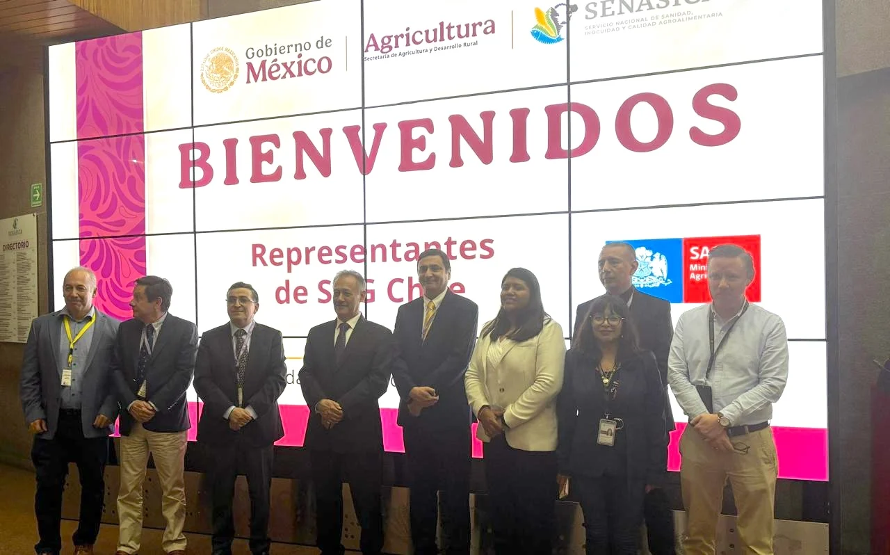Chile y México continúan avances para agilizar exportaciones frutícolas al país norteamericano