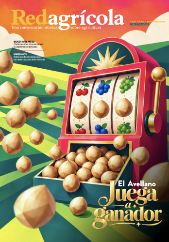 Septiembre 2026
